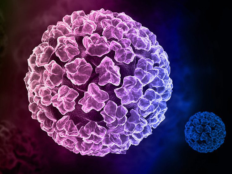 Mức độ nguy hiểm của Virus HPV