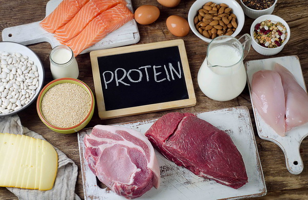 Protein đóng một vai trò vô cùng quan trọng