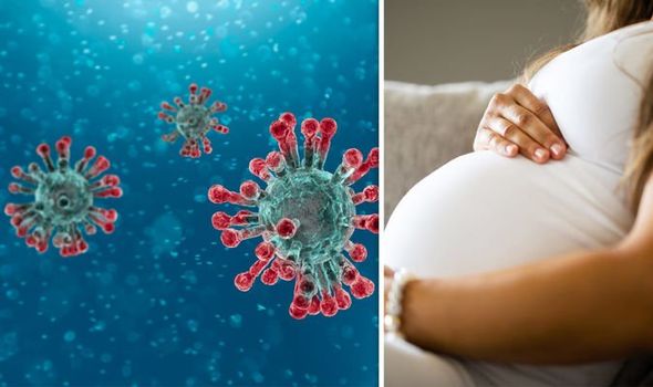 Phụ nữ mang thai khi bị nhiễm viruss dễ bị tổn thương hơn so với người bình thường 