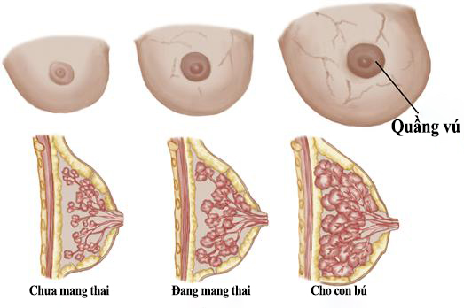 dấu hiệu mang thai