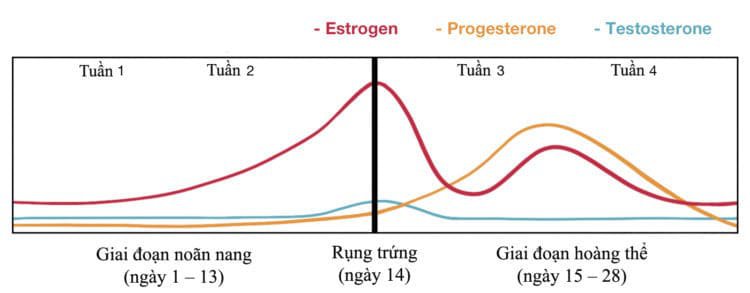 rụng trứng